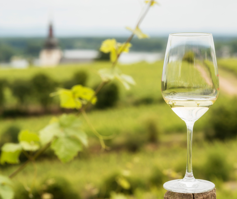 5 Types Of White Wine And Their Food Pairings Sherbrooke Liquor