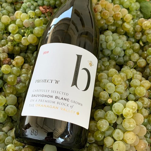 Project B sauvignon blanc